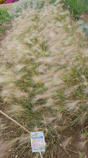 Mr Fothergills Press Day 2024 GTN070824 026.jpg