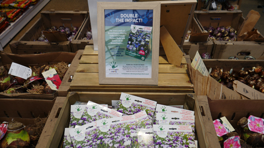 BD Blackdown GTN221025 067.jpg