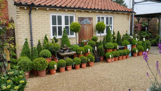 Bosworth Elton Hall 130518_GTN005.jpg
