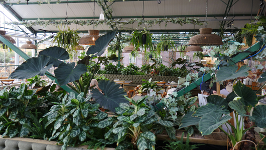 BD Blackdown GTN221025 104.jpg