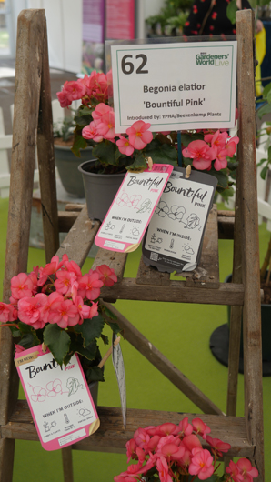 BBC GW Live 2025 Press Day GTN110625 052.jpg