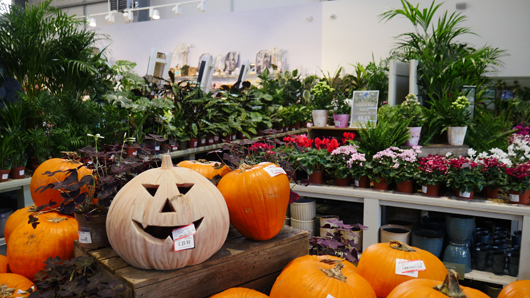 BD Blackdown GTN221025 012.jpg