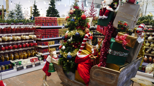 BD Blackdown GTN221025 028.jpg