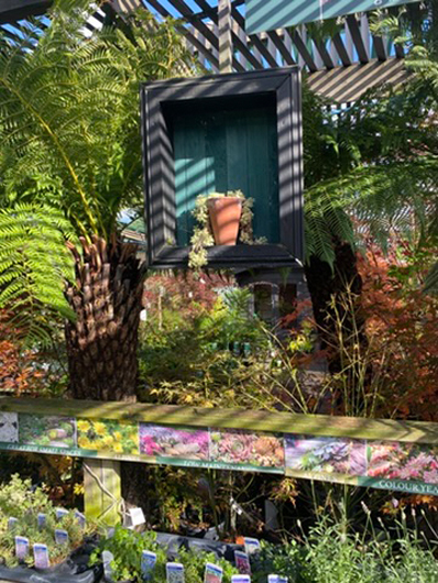 Summerhill - Oct 2025 GTN221025 107.jpg