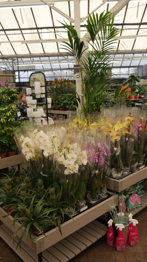 Gates at Woodlands GTN150325 065.jpg