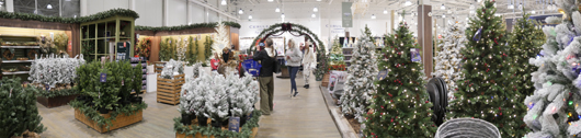Blue Diamond Peterborough Christmas 2026 GTN221026 016.jpg