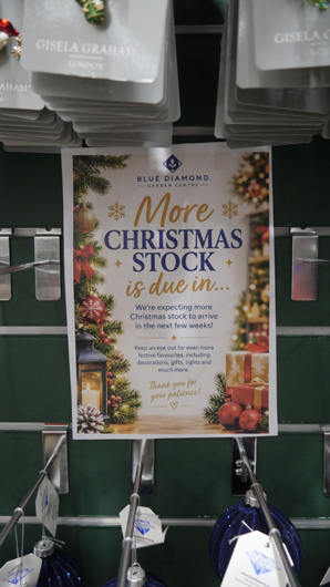 Blue Diamond Peterborough Christmas 2026 GTN221026 049.jpg