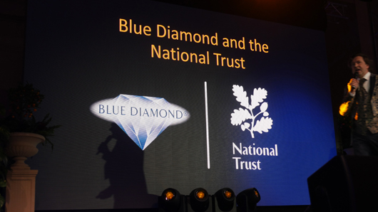 Blue Diamond Awards 2024 GTN070324 107.jpg