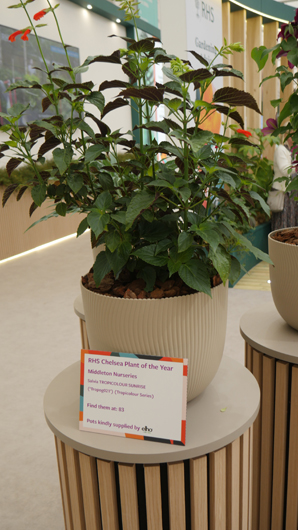 Chelsea 2025 Press Day GTN190525 115.jpg