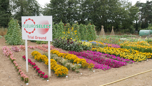 Mr Fothergills Press Day 2024 GTN070824 024.jpg