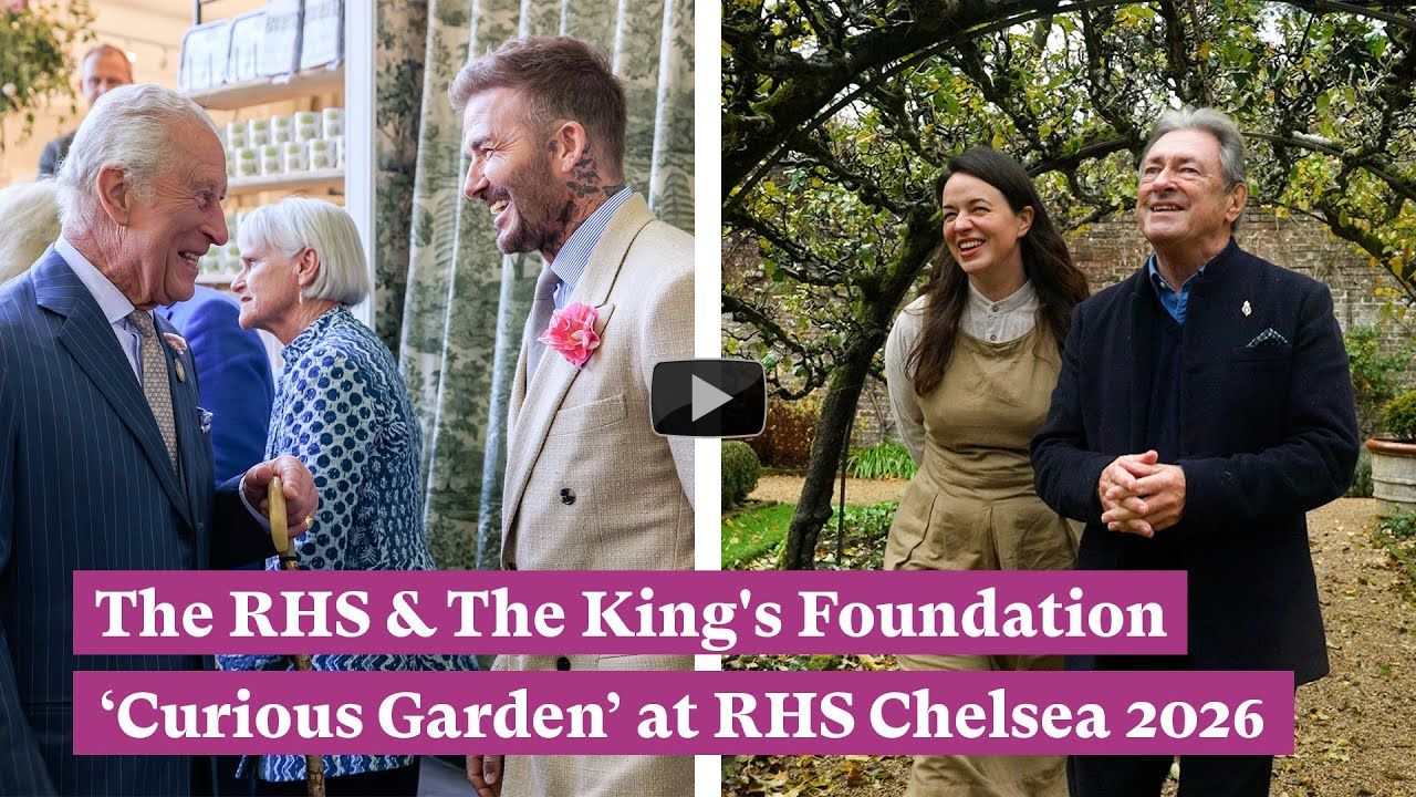 Sir David Beckham & Alan Titchmarsh join Frances Tophill to create RHS Chelsea Flower Show garden