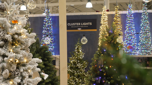 Blue Diamond Peterborough Christmas 2026 GTN221026 024.jpg