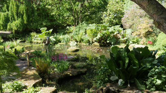 Blue Diamond Bridgmere Garden Opening GTN090525 070.jpg