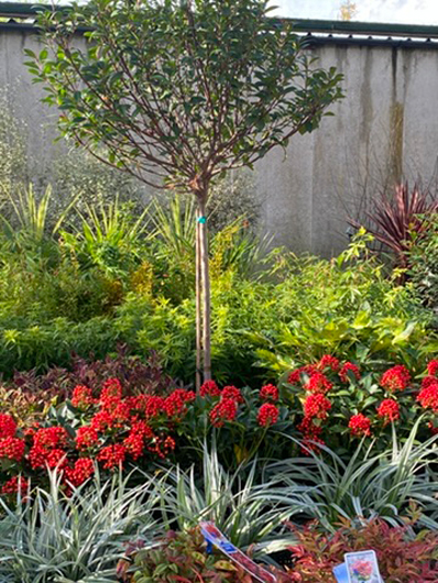 Summerhill - Oct 2025 GTN221025 103.jpg