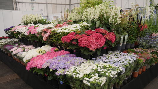 BBC GW Live 2025 Press Day GTN110625 037.jpg