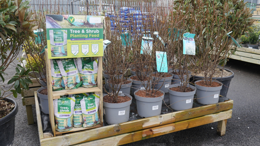 Gates at Woodlands GTN150325 017.jpg