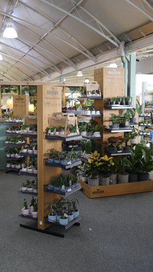 BGC Rugby Opening GTN150325 047.jpg