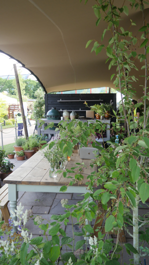 BBC GW Live 2025 Press Day GTN110625 026.jpg